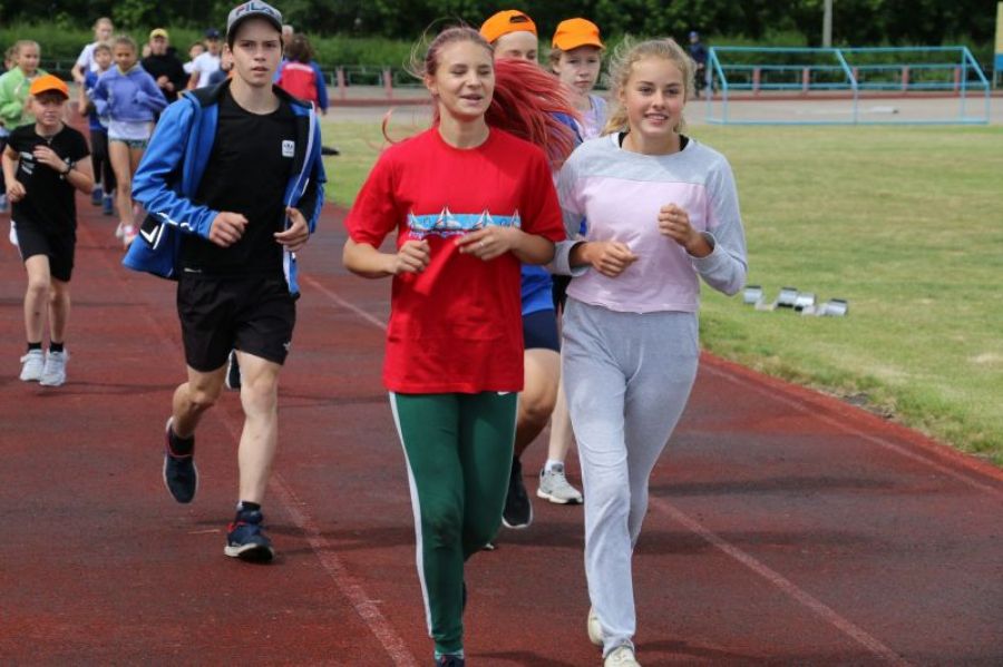 Гладко было на бумаге, да забыли про овраги. Об особенностях закона «о гармонизации» 