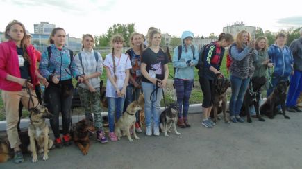 В Барнауле состоялись соревнования по спортивно-прикладному собаководству "Хвостатый полк" (фото).