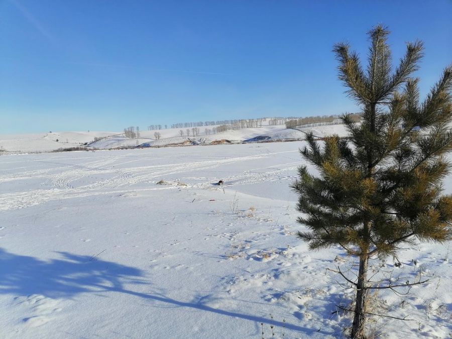 Отбор набирает обороты. Определились очередные финалисты сельской олимпиады