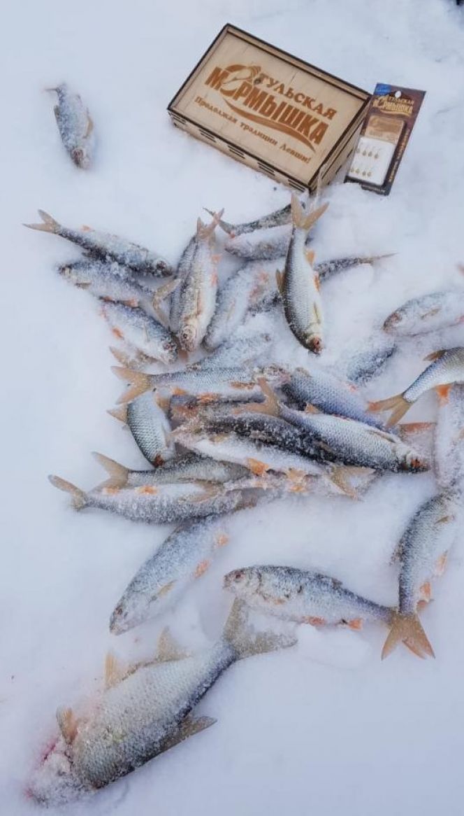 Фото: Алтайский рыболовный клуб