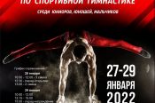 28-29 января. Бийск. СК "Заря". Чемпионат и первенство Алтайского края среди юношей