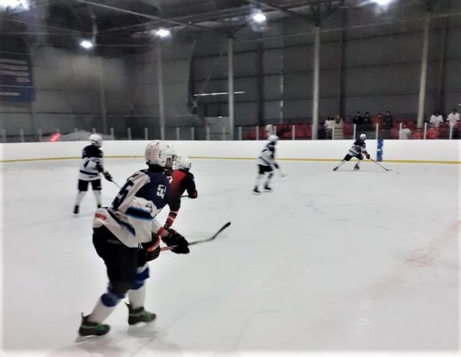 Победой славгородского «Кристалла» завершился в Заринске краевой финал турнира «Золотая шайба» среди допризывной молодёжи 