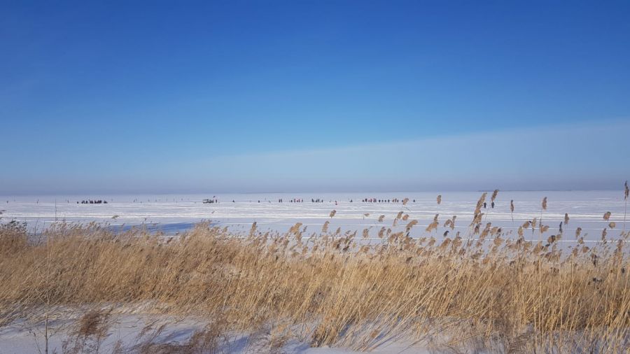 Фото: Оргкомитет соревнований