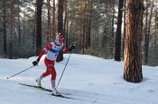 Лыжники края разыграли медали регионального чемпионата на двух дистанциях 