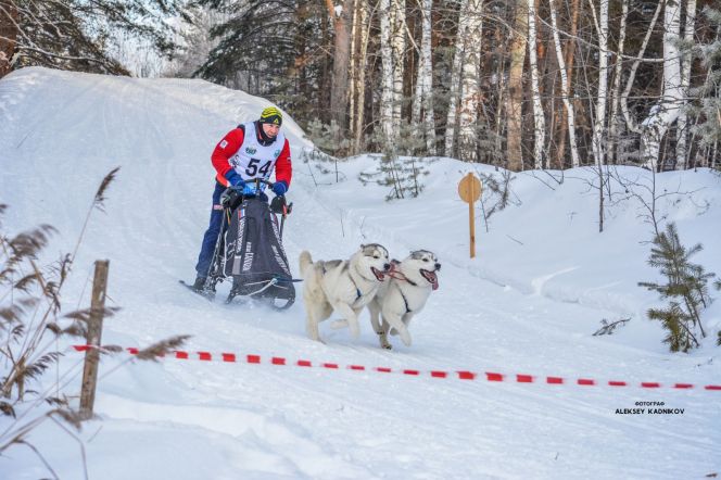Фото: Алексей Кадников