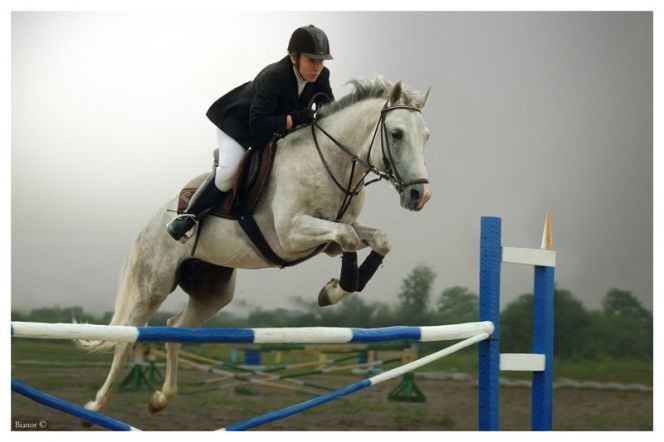 10-11 сентября. Барнаул. Ипподром. Кубок Алтайского края по троеборью.