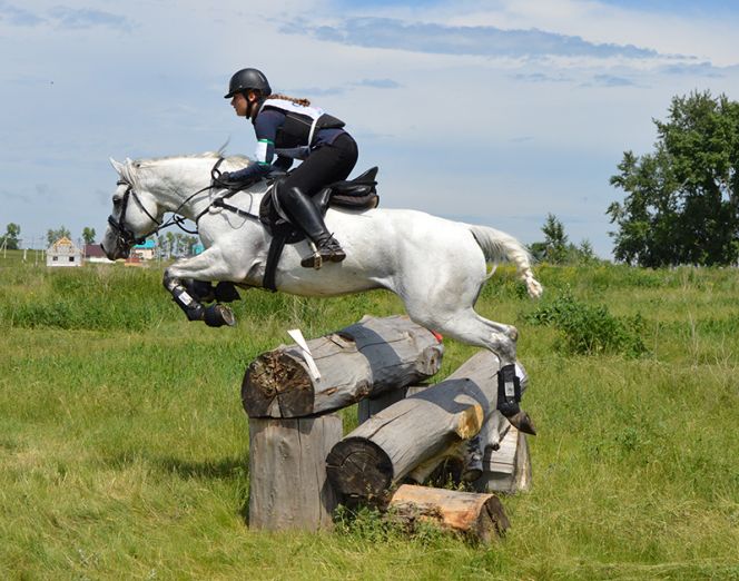  В Барнауле состоялись чемпионат и первенство края по троеборью (фото).