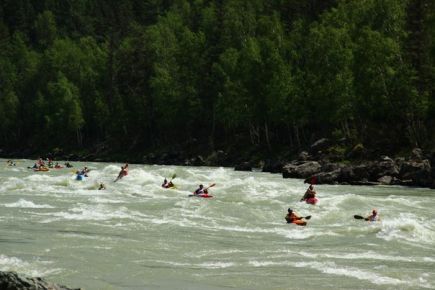 Фестиваль каякинга на бурной воде «Доллар Фест 2015» прошел на Алтае.
