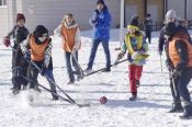 В рамках проекта «Двор - спортивная орбита» в Барнауле состоялся турнир по хоккею на валенках среди школьных команд 