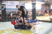 В краевом чемпионате по MMA приняли участие призёры первенства мира