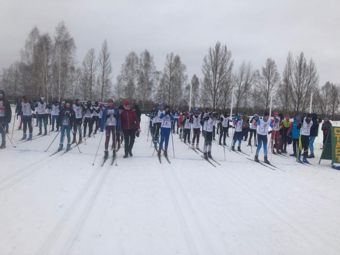 В Заринске подвели итоги лыжных стартов в зачёт XLII краевой спартакиады спортшкол 