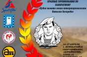 16--17 апреля. Новоалтайск. СК "Алтайвагон". Краевой турнир памяти воина-интернационалиста Виталия Басараба