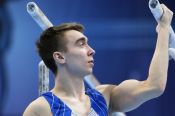 Большой смотр спортивной гимнастики России: Сергей Найдин у подножия пьедестала чемпионата страны, Сергей Жабин с серебром юниорского первенства 