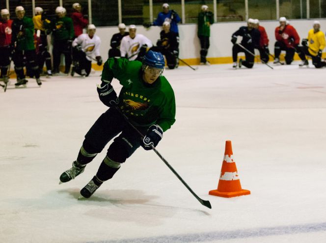 Снова на лёд!