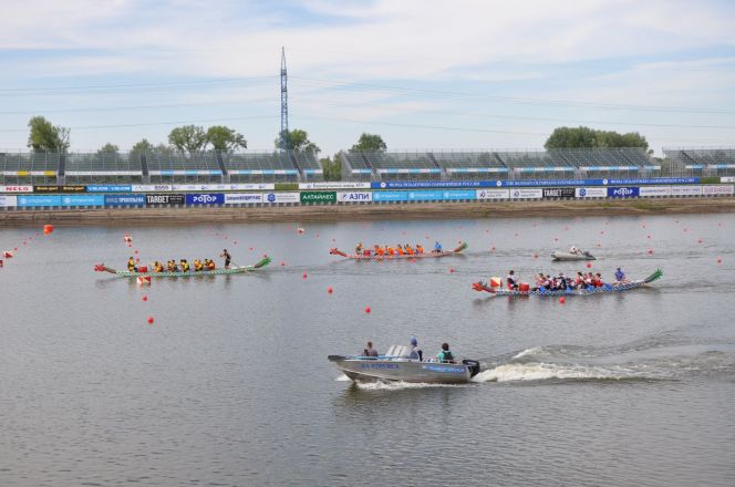 Алтайские вузы подпишут соглашения со Студенческой лигой по гребле на лодках «Дракон» и сапбордах Алтайского края