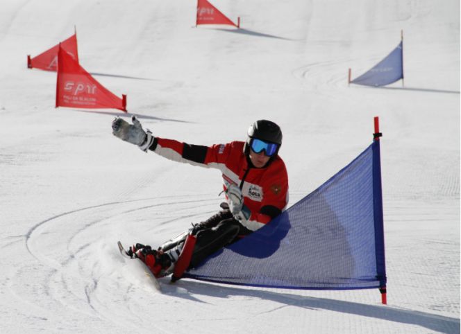 Свой в доску