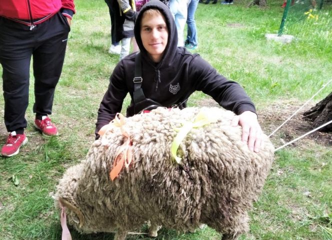 Борец Сергей Грунвальд – победитель фестиваля дружбы народов «Сибирский Сабантуй»