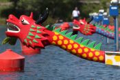 Новую традицию закрепили  рекордом! В Барнауле с успехом прошел первый студенческий фестиваль гребли на лодках "Дракон" (фото) 