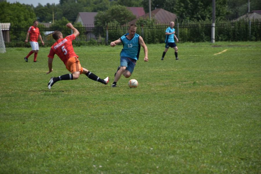 Олимпийский огонь в Сростках. На родине Василия Шукшина завершилась XLII летняя олимпиада спортсменов Бийского района