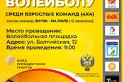 «Спортивная инициатива» приглашает взрослых сыграть в парковый волейбол