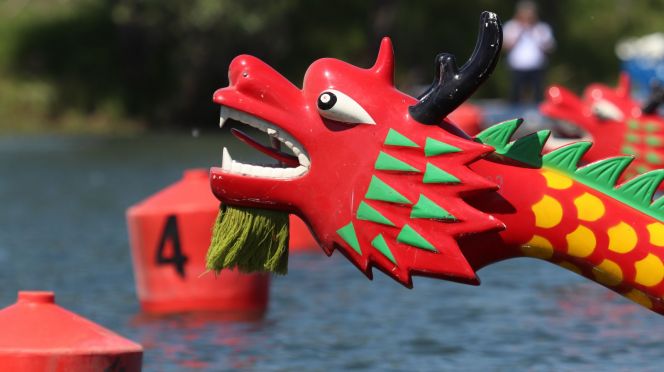 2 июля в Барнауле пройдет II Кубок журналистов по гребле на лодках «Дракон»