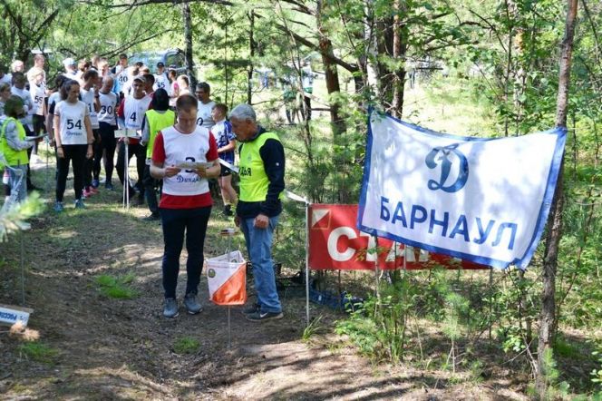 В Барнауле завершились соревнования ориентировщиков краевой спартакиады ВФСО «Динамо»