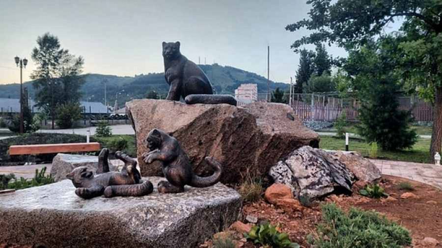 Барс для Шойгу: бодибилдер Антон Овдин утром создаёт скульптуры, а вечером идёт на тренировку