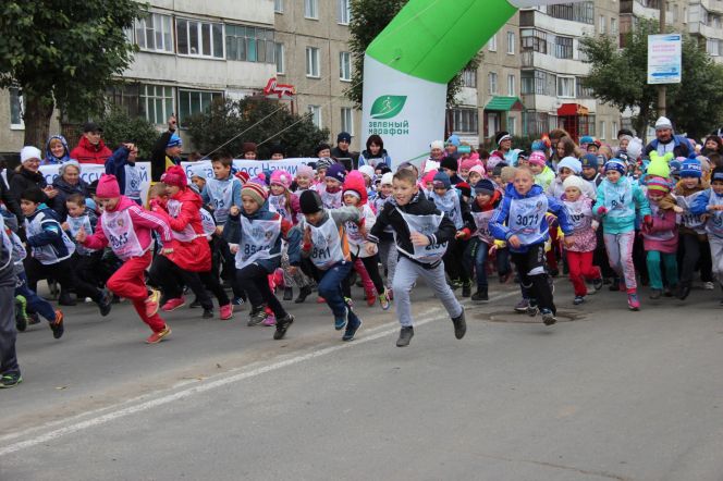 Солнышко взяли в партнёры 