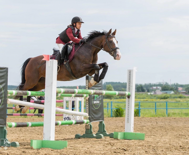 Полина Шипунова - серебряный призёр первенства Сибирского федерального округа по конкуру