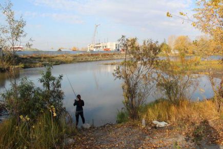 Без малого 100 миллионов