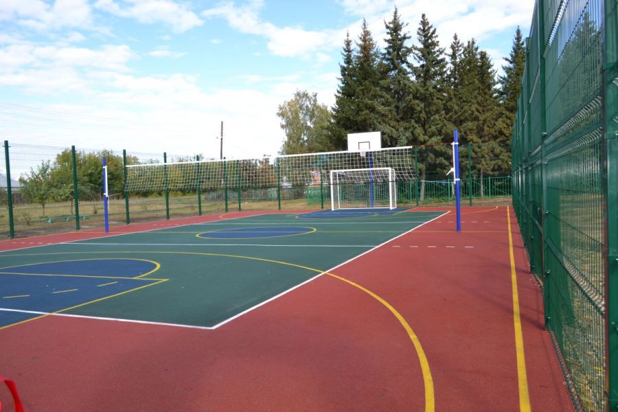 В Павловском районе тренеры проводят Дни спорта для детей