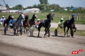 3 сентября. Барнаульский ипподром.  V этап Большого Сибирского круга. Кубок губернатора Алтайского края