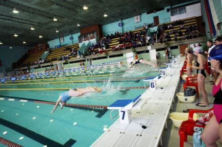 Определились победители VIII краевой спартакиады госслужащих в плавании, волейболе, дартсе и гимнастике.