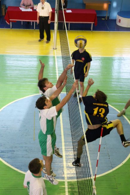 Определились победители VIII краевой спартакиады госслужащих в плавании, волейболе, дартсе и гимнастике.