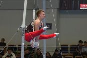 Надеемся на медаль. Барнаульский гимнаст Сергей Найдин пятый в многоборье, впереди битва за награды в отдельных видах