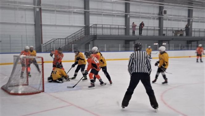 Бойкие девчата.  Алтайская команда «Сибирские Лисы»  - победительница хоккейного  фестиваля «Сибирские надежды»