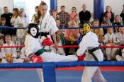 Подведены итоги межрегионального турнира по кеншинкан каратэ «MAGIS OPEN CUP» (фото)
