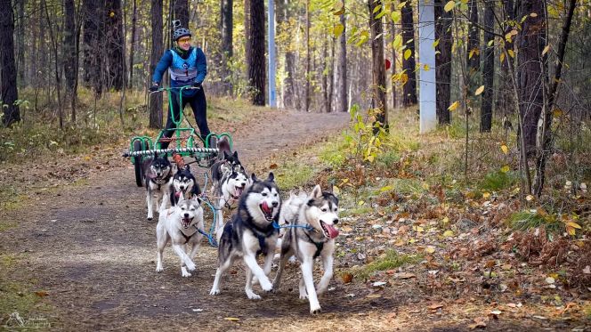 Спортсмены Алтайского края выиграли 10 медалей на финальном этапе Кубка Урала и Сибири в Бердске