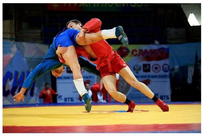 13-15 ноября. Барнаул. КБСС «Метелица». Чемпионат и первенство Алтайского края по самбо и боевому самбо.