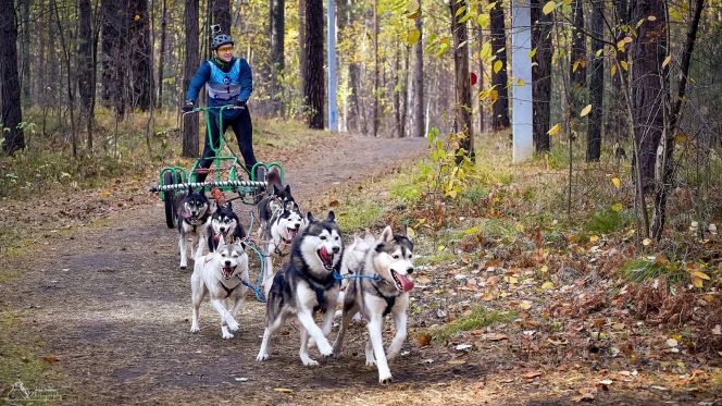 По итогам семи этапов Кубка Урала и Сибири спортсмены Алтайского края завоевали семь трофеев