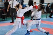 В Ребрихе прошли чемпионат и первенство Алтайского края по каратэ WKF 