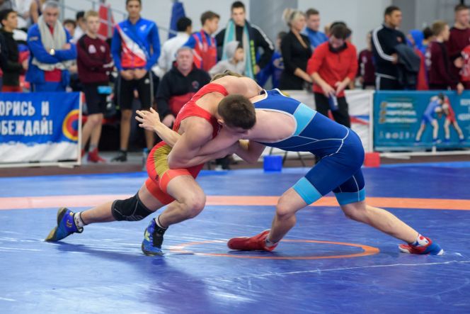 Фото: Федерация спортивной борьбы Новосибирской области