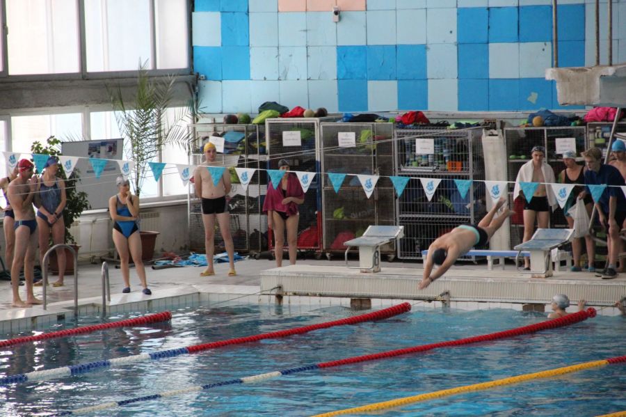 Фото: Эльвира Успек/Минприроды Алтайского края