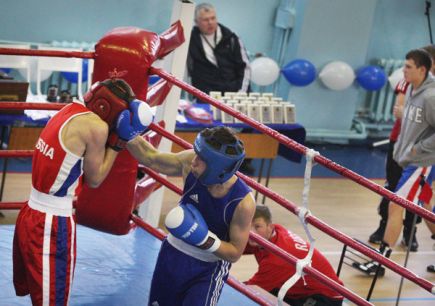 В спортзале Барнаульского юридического института прошёл юношеский турнир по боксу «Динамо – детям России» (фото).