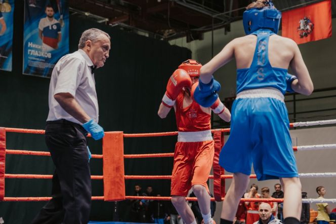 Всероссийские соревнования по боксу памяти Б. Грекова. Фото: Федерация бокса города Москвы