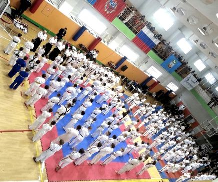 В Барнауле состоялся межрегиональный турнир по спортивному контактному каратэ "Altay open-2015". 