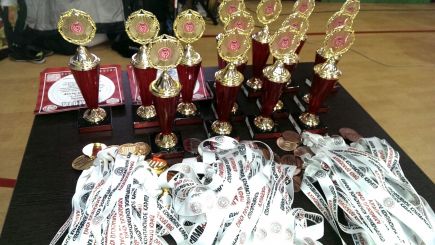 В Барнауле состоялся межрегиональный турнир по спортивному контактному каратэ "Altay open-2015". 