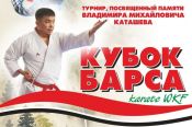 28-29 января. Бийск. Культурно-спортивный центр. Турнир по каратэ WKF "Кубок Барса", посвящённый памяти Владимира Каташева