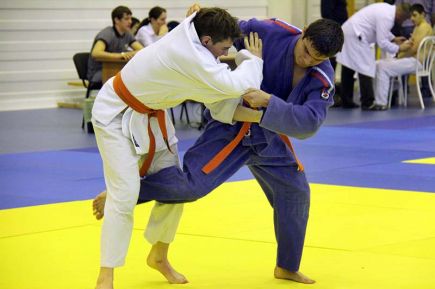 В Барнауле в 12-й раз состоялся Гран-при «Витязь» на призы Ивана Нифонтова и Игоря Вотякова.