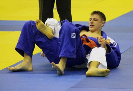 В Барнауле в 12-й раз состоялся Гран-при «Витязь» на призы Ивана Нифонтова и Игоря Вотякова.